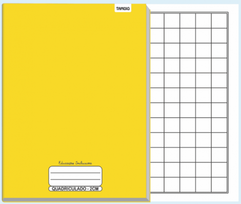 CADERNO BROCHURA EDUCAÇÃO INCLUSIVA - QUADRICULADO 2CM