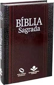 BÍBLIA SAGRADA - FIEL AOS ORIGINAIS