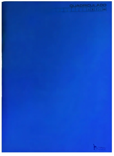CADERNO BROCHURA QUADRICULADO 1X1 - 48 FOLHAS - AZUL