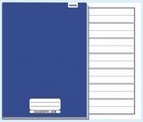 CADERNO BROCHURA EDUCAÇÃO INCLUSIVA - CALIGRAFIA 2CM