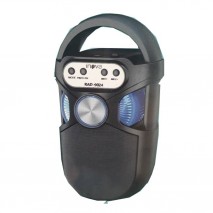 Caixa De Som Amplificada Portátil Inova Rad-9024
