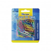 CLIPS COLORIDO COM 100 PECAS NA CARTELA