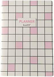Agenda 2021 Planner Delicada E Bem Organizada Super Fofa - Rosa