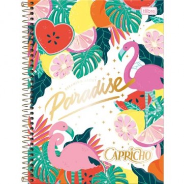 CADERNO ESPIRAL CAPA DURA UNIVERSITÁRIO 1 MATÉRIA CAPRICHO 80 FOLHAS