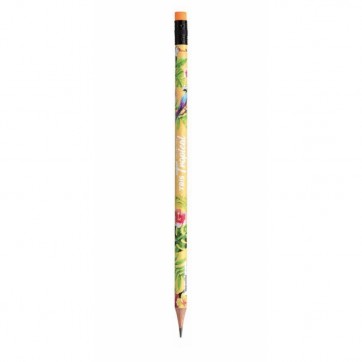 Lápis Grafite Collect Tropical Com Borracha Tris t2