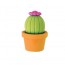 Borracha cactus - tilibra
