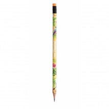 Lápis Grafite Collect Tropical Com Borracha Tris t2